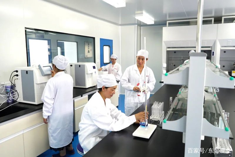 营养保健品研发