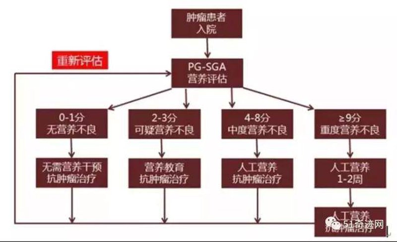 营养干预方案
